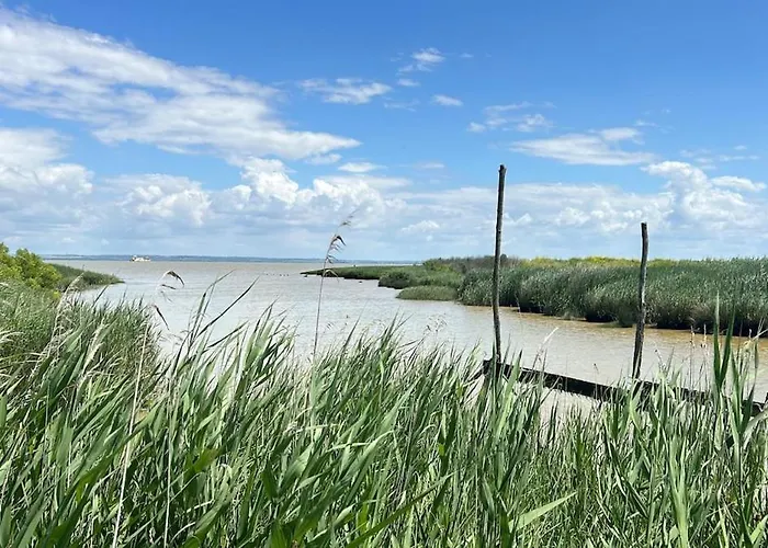 Maison D'exception Avec Piscine بيت للعطل *