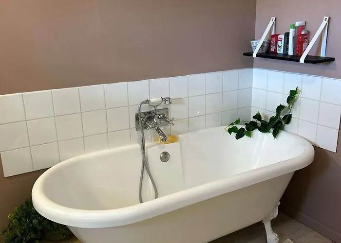 Maison D'exception Avec Piscine * Civrac-en-Médoc